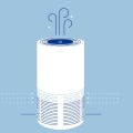 Do Air Purifiers Really Make a Difference?