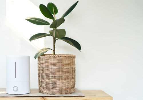 Ionizers vs HEPA Filters: Which is the Best Air Purifier for You?